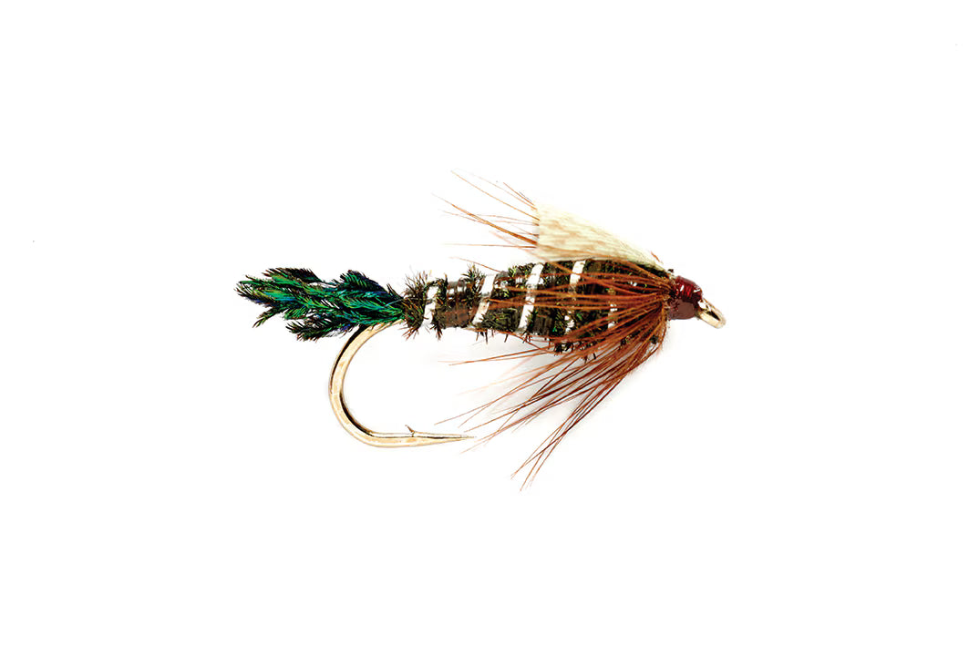 Zug Bug Fly – Anglers All