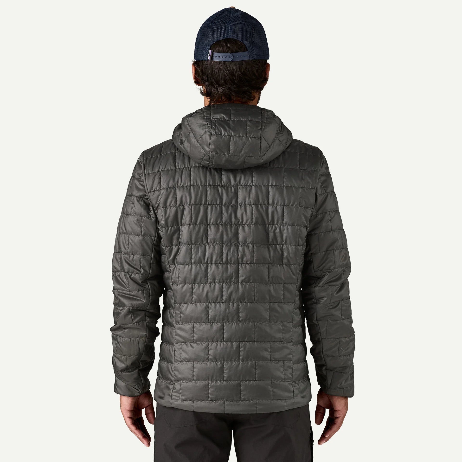 Patagonia Men's Nano Puff Fitz Roy Trout Hoody