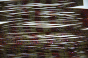 Hawgfish Hawg Legs