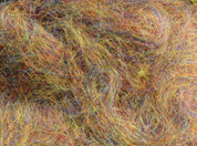 Arizona Simi Seal Dubbing