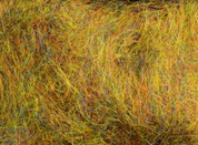 Arizona Simi Seal Dubbing