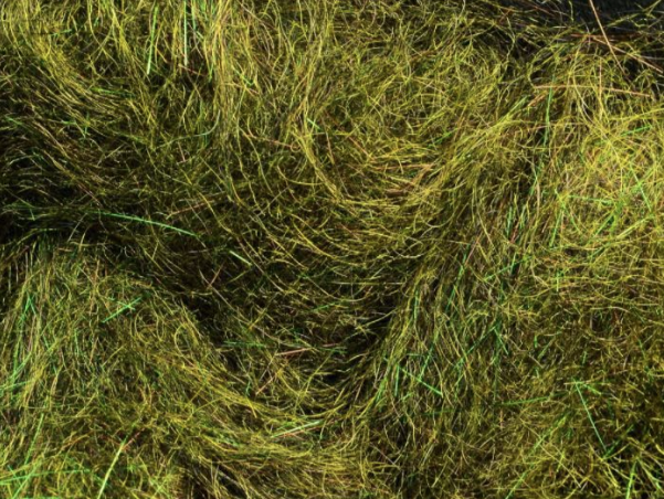 Arizona Simi Seal Dubbing