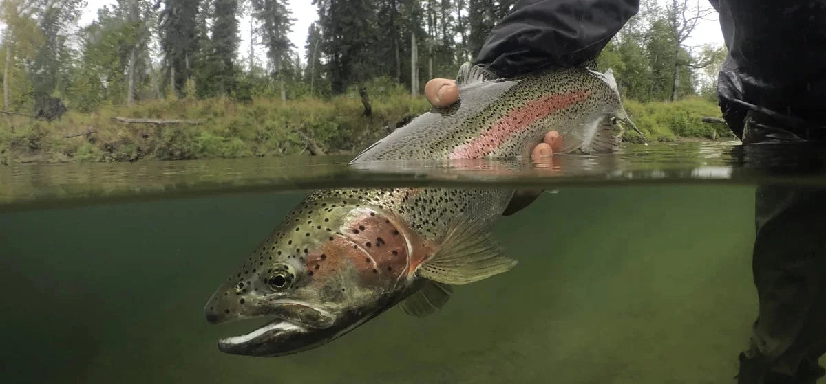 Aniak River Lodge
