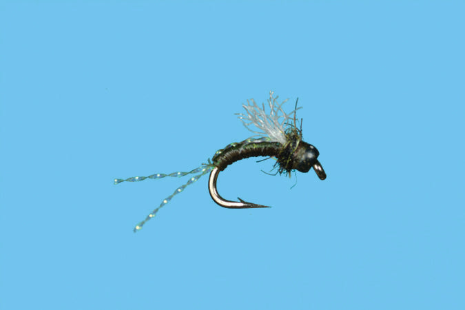BH Cheeseman Emerger - Solitude Fly