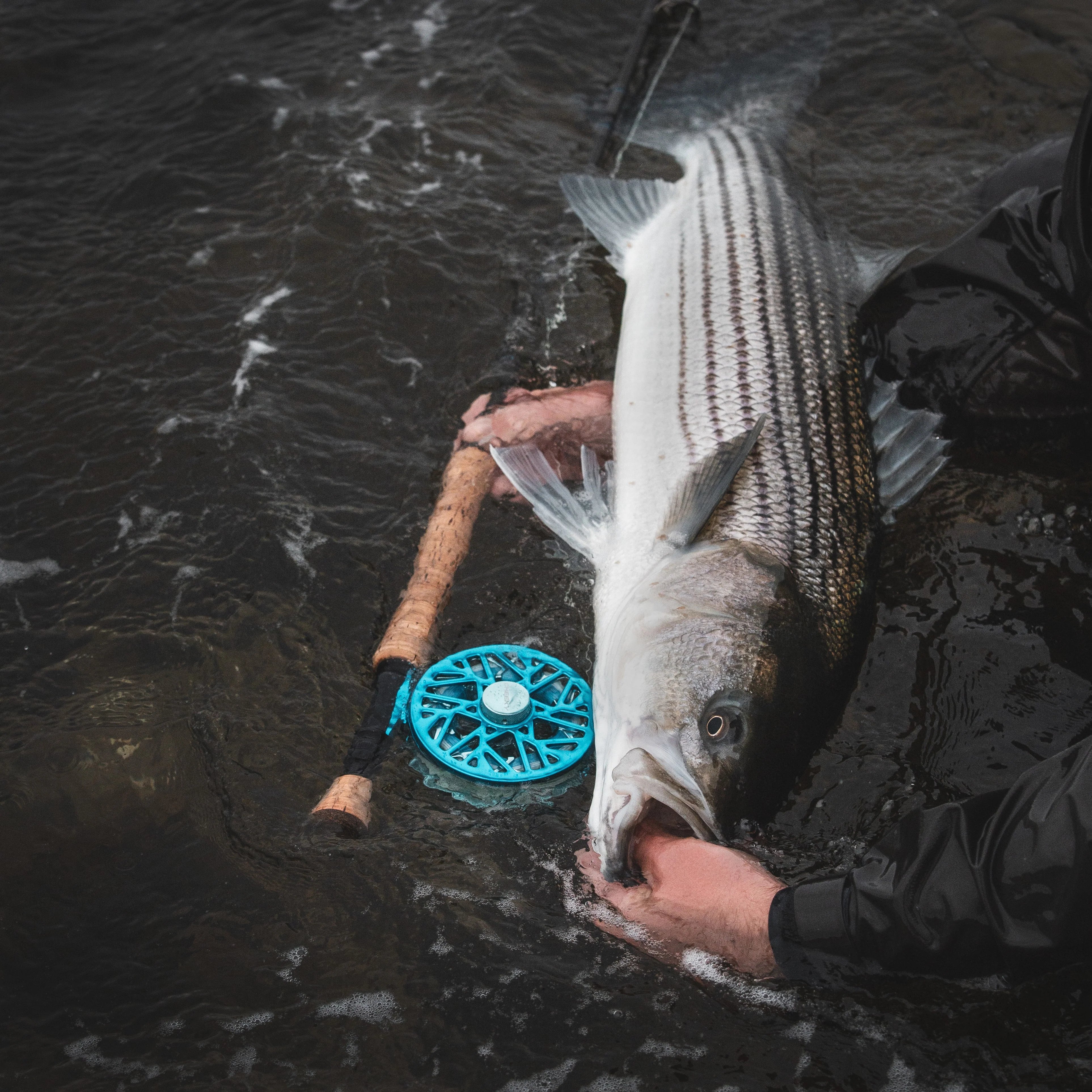 Cheeky Burst 400 Fly Reel (7-9wt)