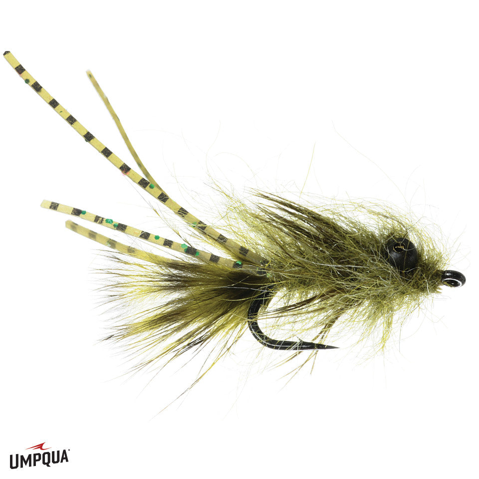 Barrys_Carp_Bitter_Reynolds_Olv__57334.jpg