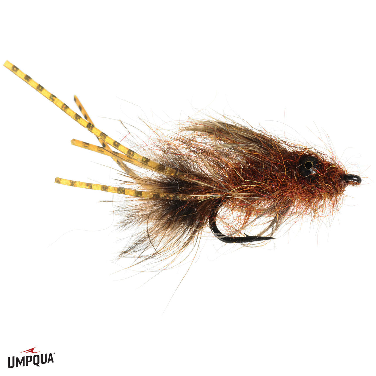 Barrys_Carp_Bitter_Reynolds_Rusty__92575.jpg