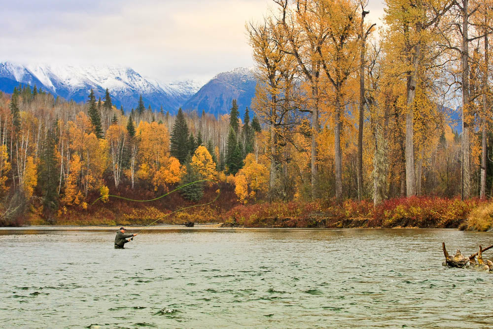 Bear Claw Lodge