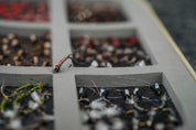 Greg Garcia's Big Net Perdigon - Umpqua Fly