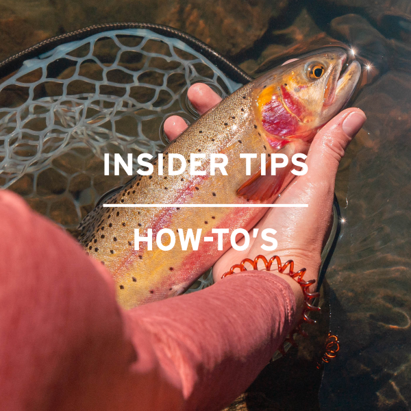 Blog_Category_Tile_-_Insider_Tips-1.png