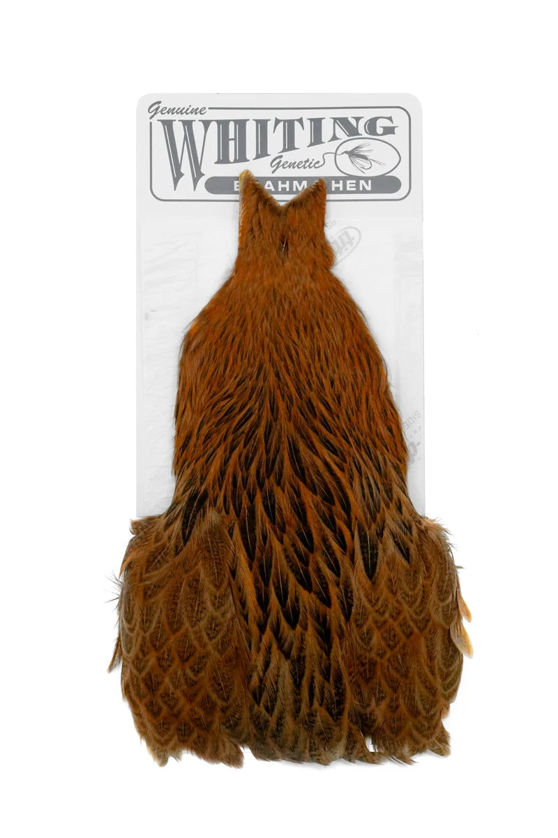 Whiting Farms Brahma Hen Cape