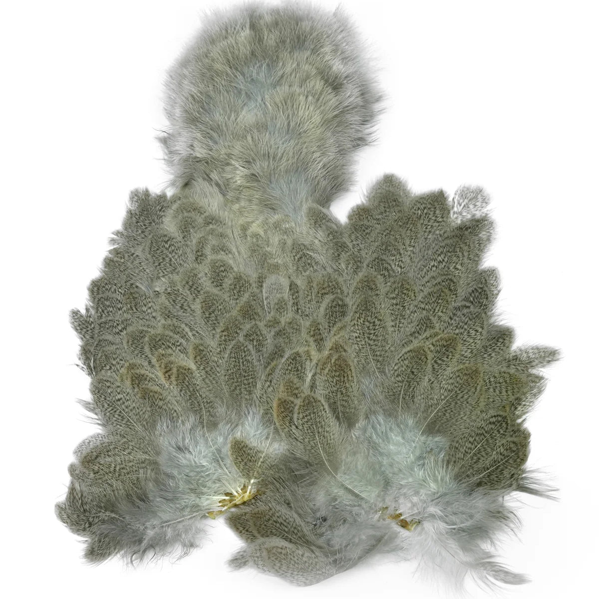 BrahmaHenSofthacklew_Chickabou-MottledGreyWildType-Front.webp