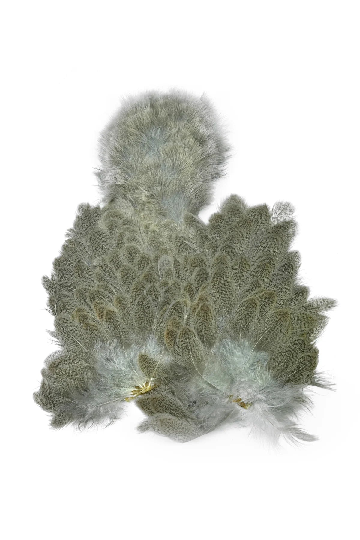 Whiting Farms Brahma Hen Soft Hackle Chickabou SH/C