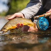 Cheeky Burst 325 Fly Reel