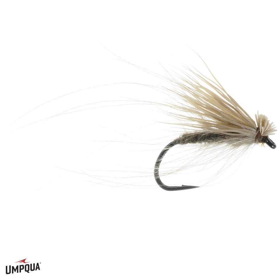 CDC__Elk_Weilenmann__90773.jpg