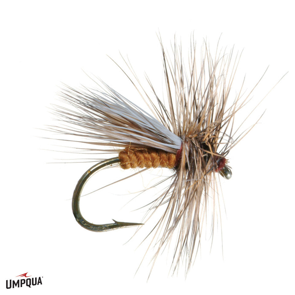 Caddis_Variant_Ginger__65564.jpg