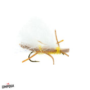 Chubby Chernobyl - Umpqua Fly