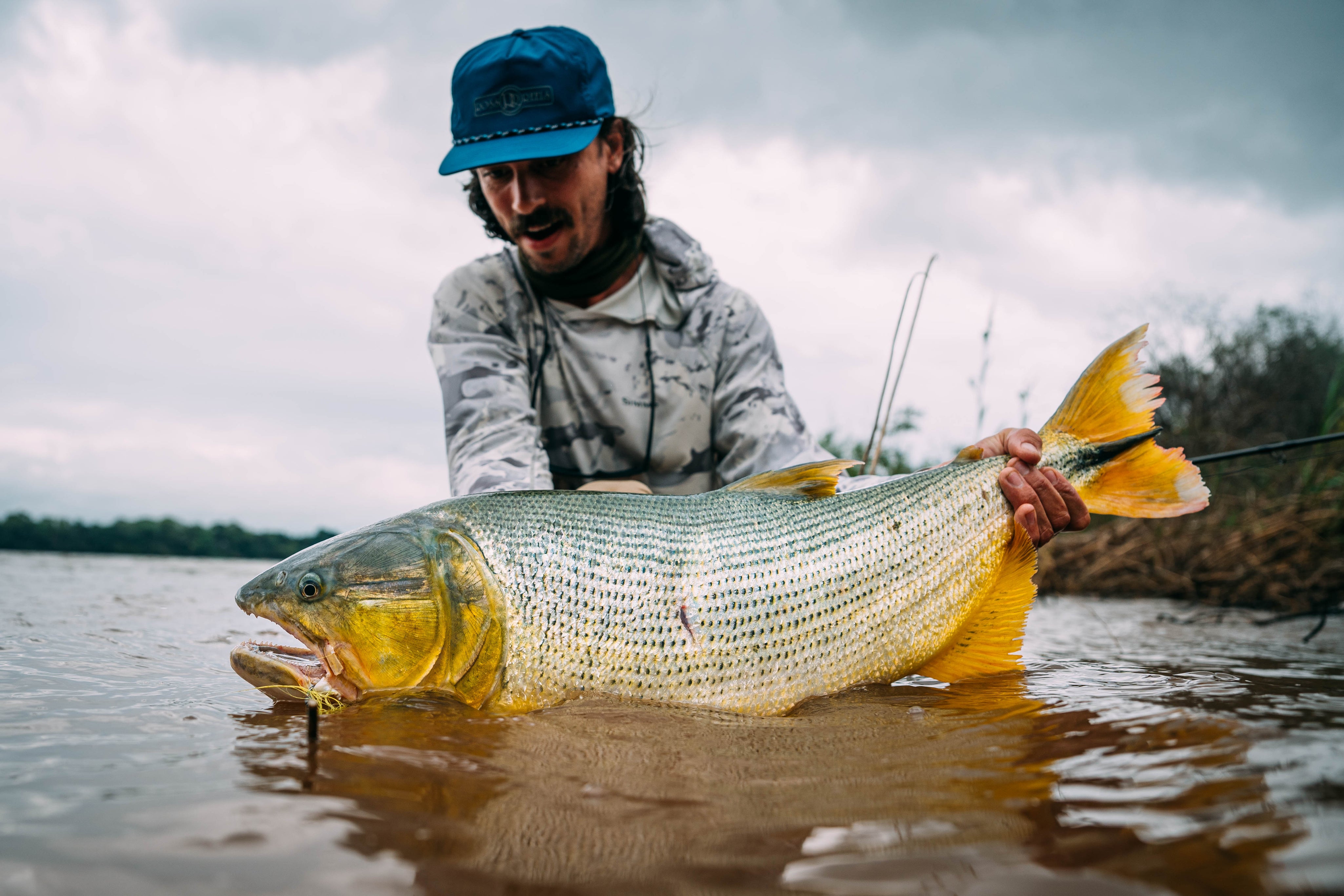 SET Fly Fishing - Dorado, Argentina
