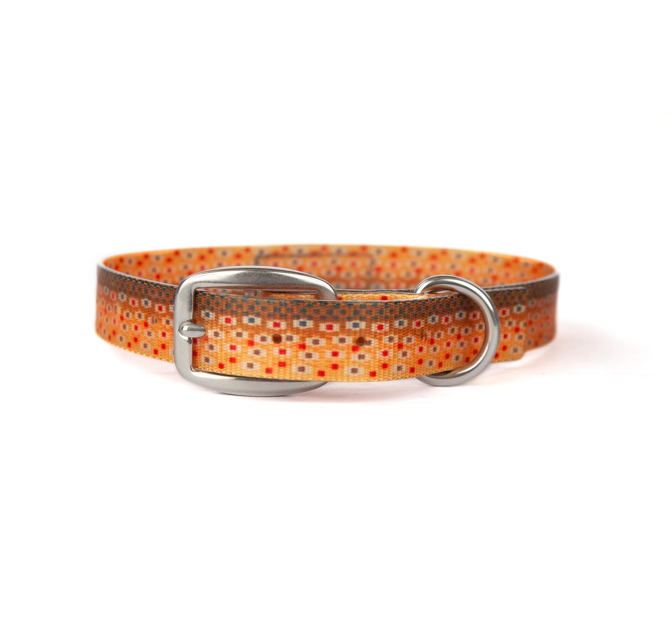 DogCollar_Trucha_1_2200x_72f56af0-bf9b-4b64-8578-865a57122849.webp