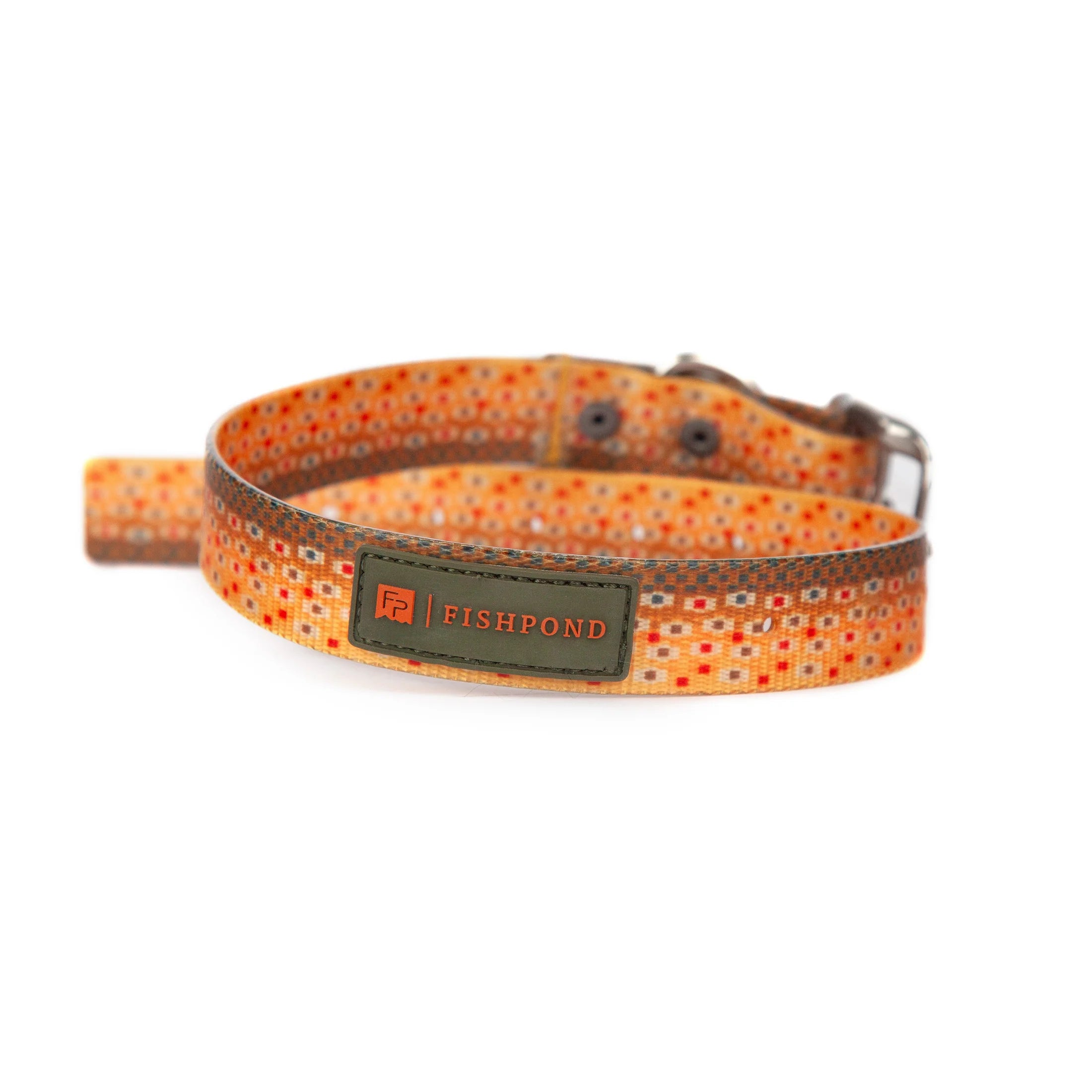 DogCollar_Trucha_2_2200x_6e9fb9a3-35a9-401b-99b2-98c3acf6a3c2.webp