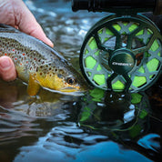 Cheeky Drip 375 Fly Reel (5-6wt)