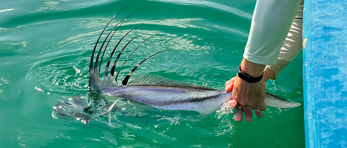 Bahia de los Suenos