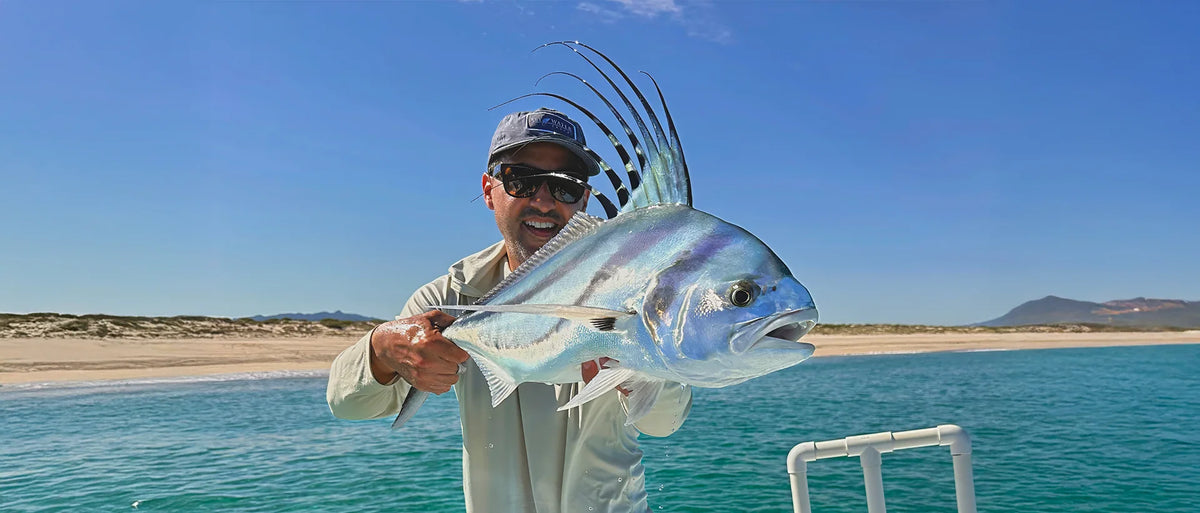 Bahia de los Suenos