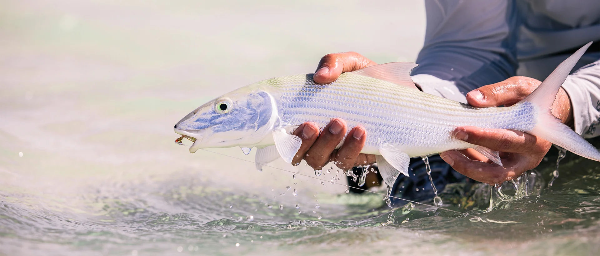 Christmas Island Outfitters