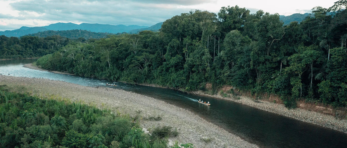 Tsimane - Pluma Lodge