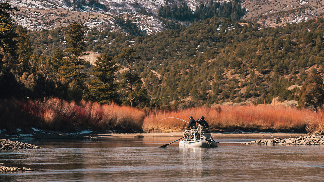 FirstFloat1600x600_bf75e1eb-84e6-41fa-82b6-203cc133d6c4.png