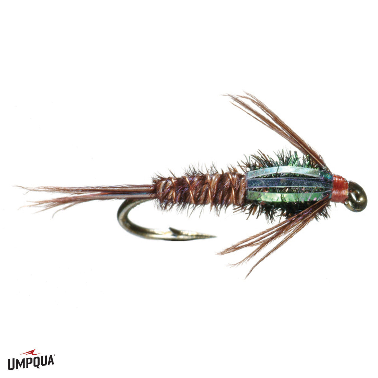Flashback_Pheasant_Tail_Nat__07584.jpg