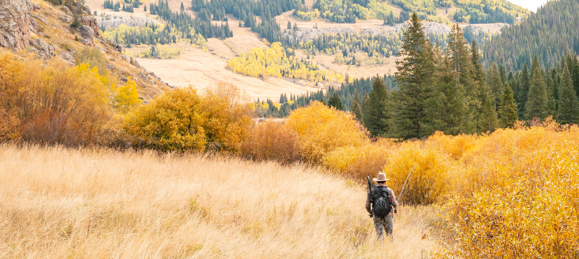 A hiker with a backpack walks through a golden grassy field toward a forested mountain ridge in autumn, with yellow and green trees in the landscape.