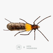 Morrish Still Stone - RIO Fly