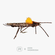 Morrish Still Stone - RIO Fly