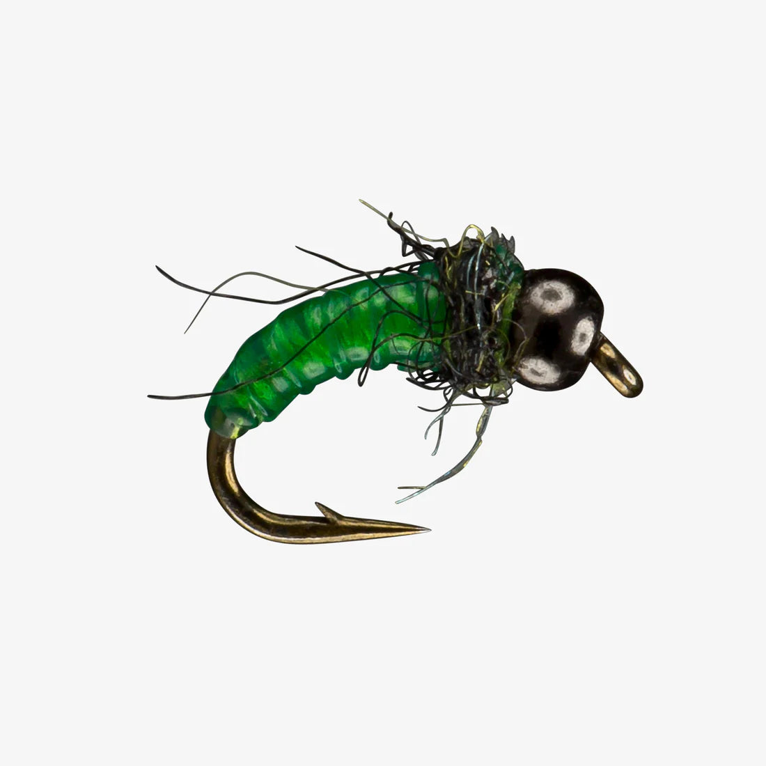 Freshwater-Bead-Nymphs_Free-Living-Larva-Green.webp