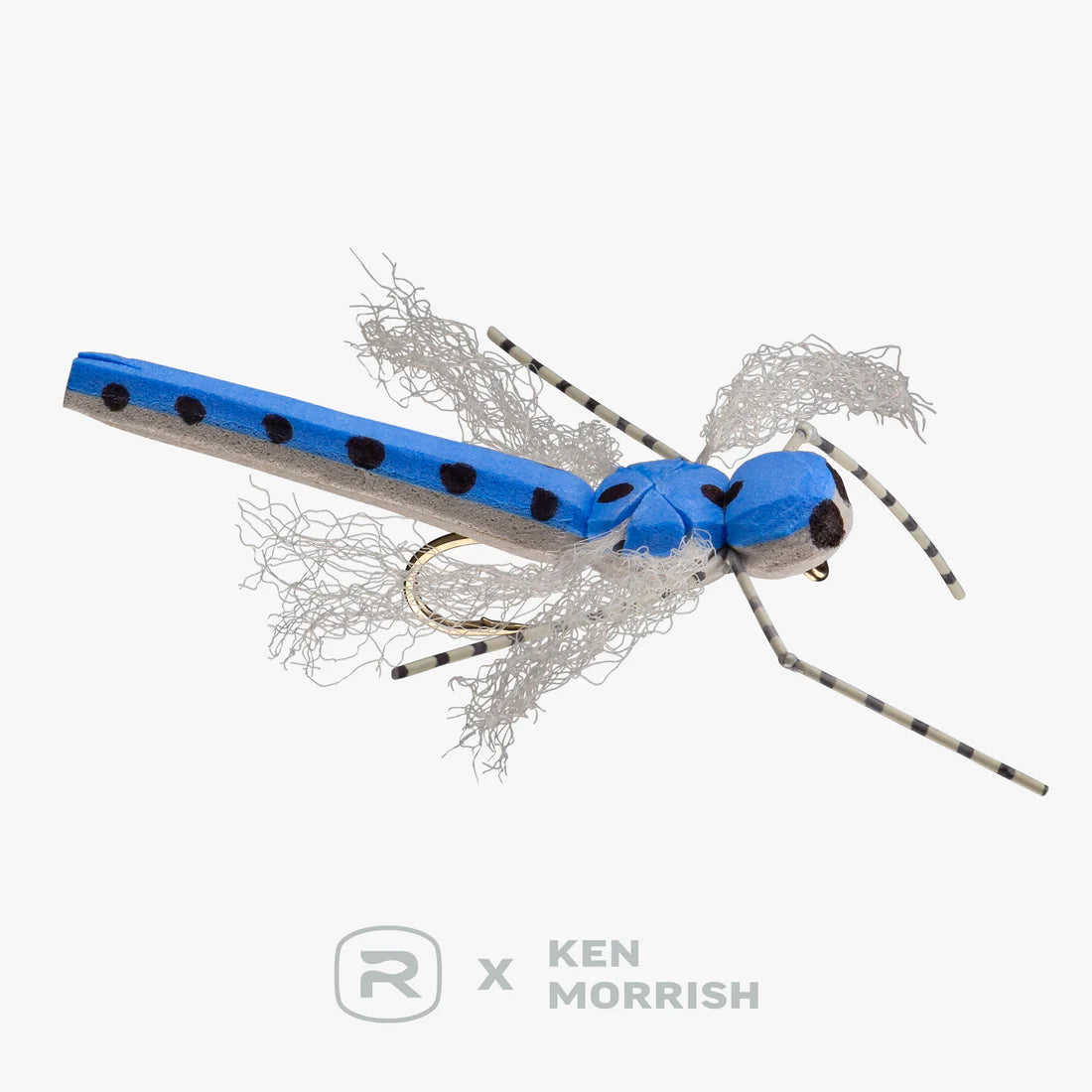 Morrish Dragon - RIO Fly