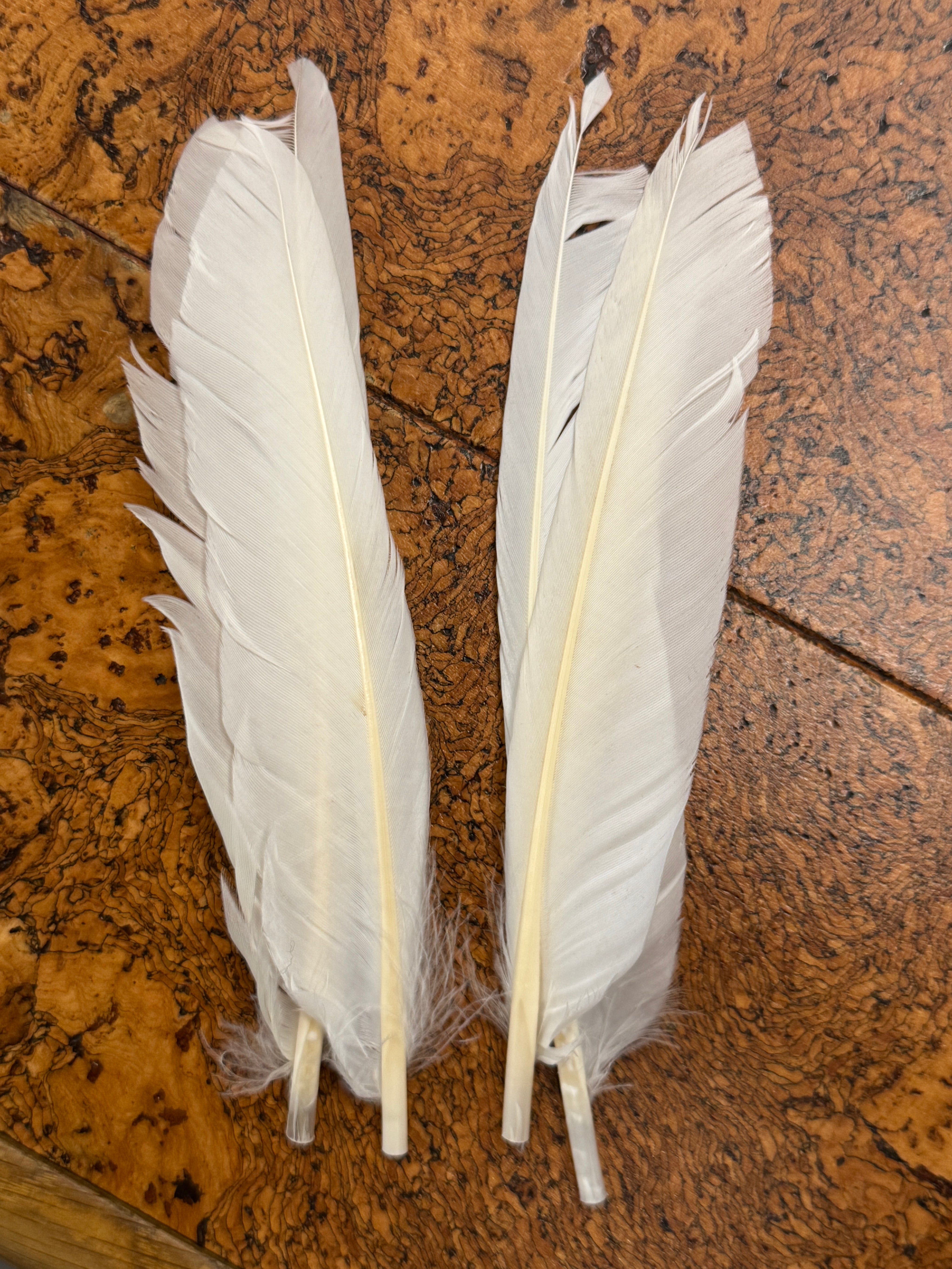 Nature's Spirit Duck Quills