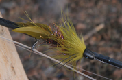 Chapman's Schloppy Toppy - Umpqua Fly