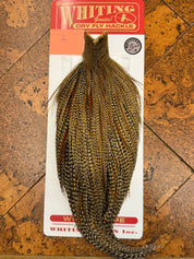 Whiting Farms Rooster Dry Fly Cape - Bronze Grade