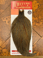 Whiting Farms Rooster Dry Fly Cape - Bronze Grade