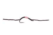 Flossy Worm