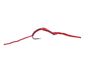 Flossy Worm