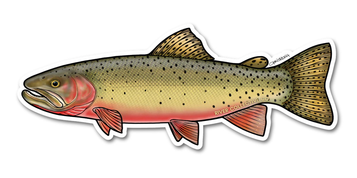 River Collective Co. Trout Stickers