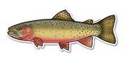 River Collective Co. Trout Stickers