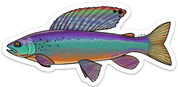 River Collective Co. Trout Stickers