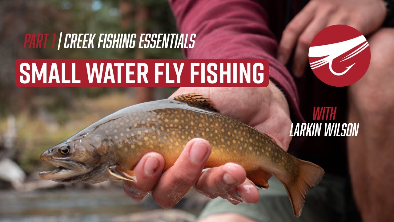 Creek Fishing Essentials with Larkin Wilson: Part 1