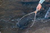 Fishpond Nomad Yampa Hand Net - 2.0 - Shadowcast Camo 2.0