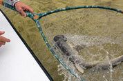 Fishpond Nomad TPU Replacement Net Bag