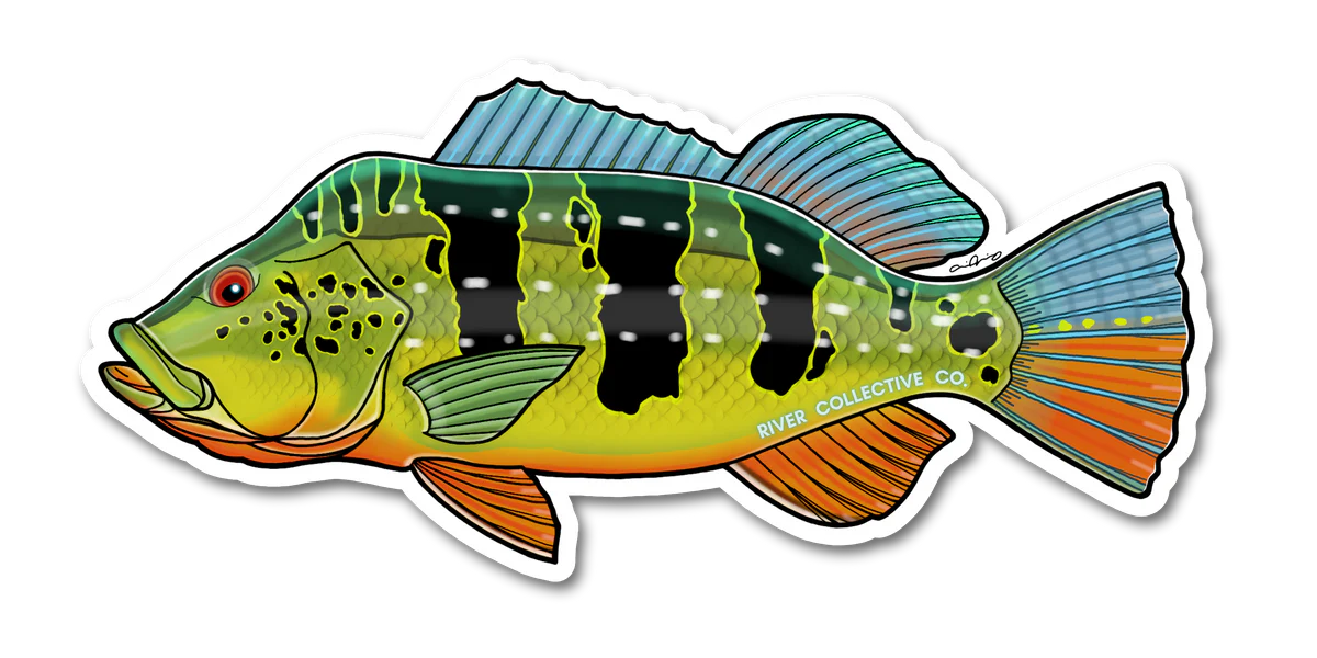 PEACOCK_BASS_-_BRANDED_PROOF_1.webp