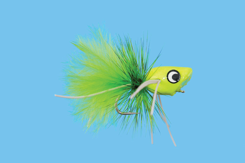 PP100CH.jpg